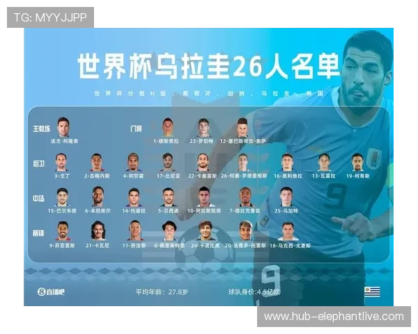 2026年比利时伊朗世界杯比赛相关赛事信息与观赛注意事项指南